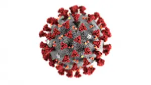 coronavirus covid-19 molecule